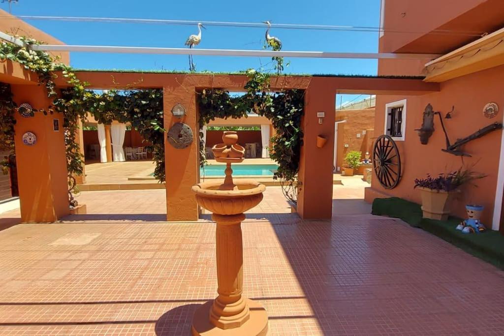 Finca David Galdar Las Palmas de Gran Canaria Luaran gambar